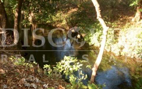  Farm for Sale in Nagarote.