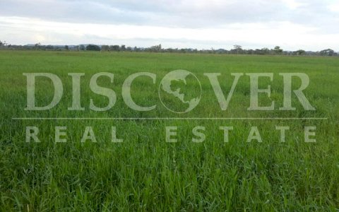  Agricultural Farm for Sale in Rio San Juan 