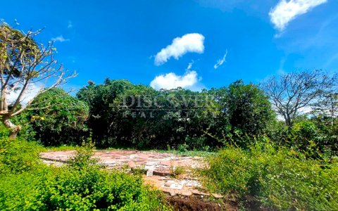  Land for sale/rent on the road to San Marcos