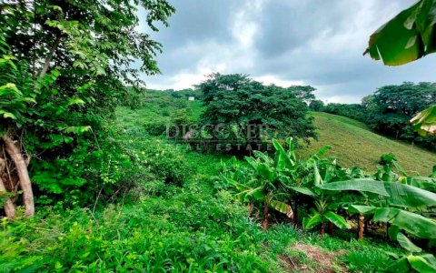  Farm for sale in Jocote Dulce