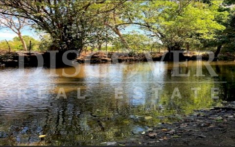  Citrus Farm for sale in Salinas Grandes, León.