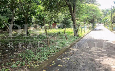  Flat Land of 3,520 Square meters for Sale in Masaya road ID 11163