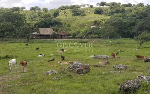  Cattle ranch for sale on Carretera Norte 