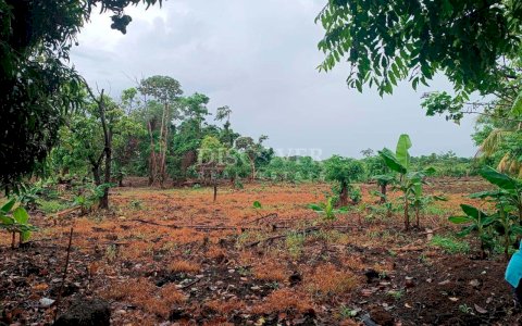  Corn Island land for sale