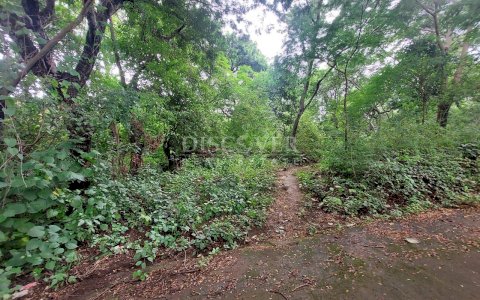 Land for sale in Jocote Dulce.