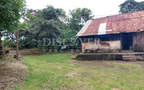 Coffee Farm for Sale in Old Road to Leon ID 13098