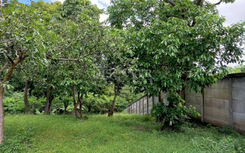  Land for sale in Carretera Sur