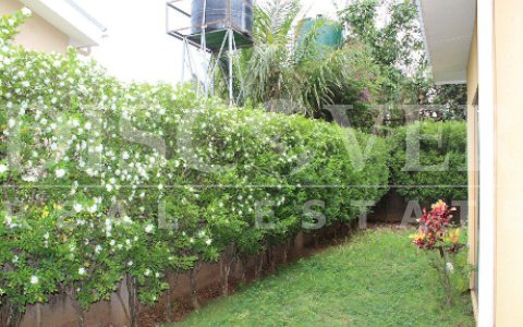 House for Rent in Lomas de Notre Dame ID 7420