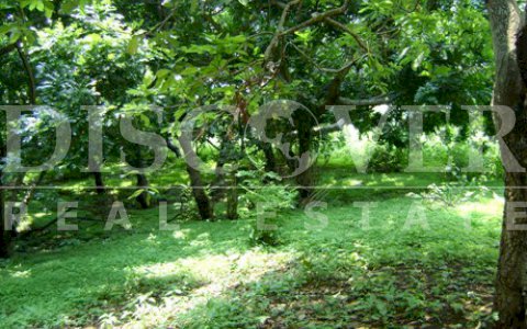  Land for Sale in Villa Fontana ID 768