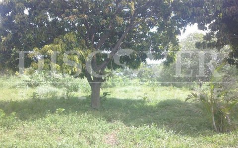 Lot for Sale in Vieja a Loen Road ID 8256