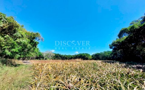  Land with large structures for sale - Jinotepe