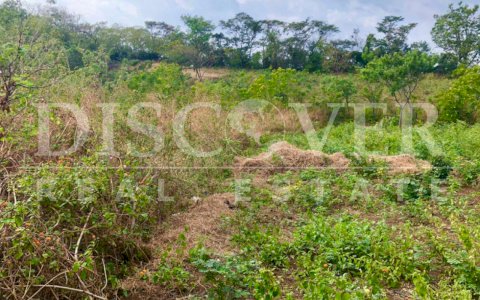 Property for Sale in Road to San Rafael del Sur ID 12560
Property for sale in San Rafael del Sur.