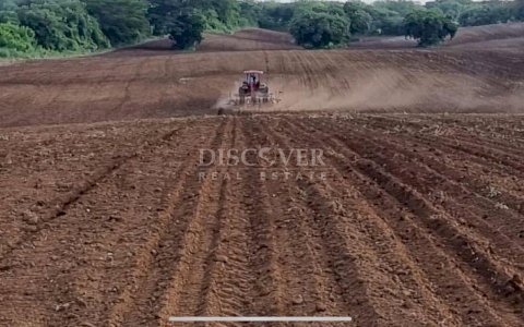  Farm for sale of 308 Mz in Tisma