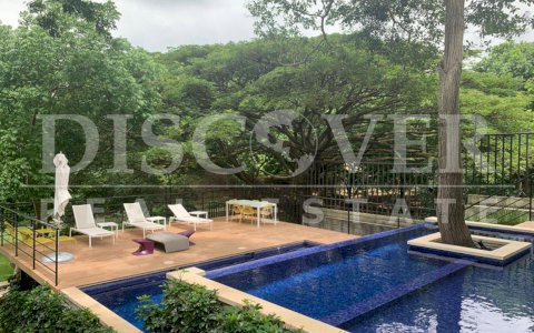  Modern Apartment for Sale or Rent in Acacia Condominium ID 12049