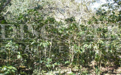  Farm for sale in Matagalpa.