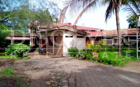 Bargain! Ofi-Bodega with large land for sale