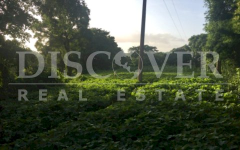  Beautiful Land for Sale in wooded area and very fresh ID 11983