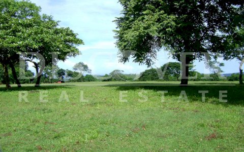 Farm for Sale in Granada.