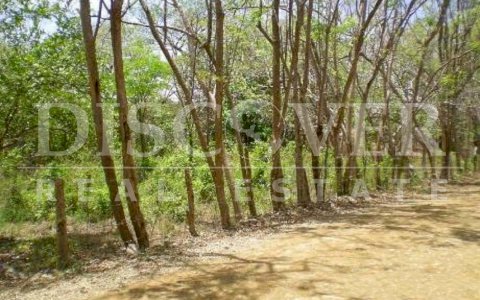 land for sale ideal for urbanization in Tola
