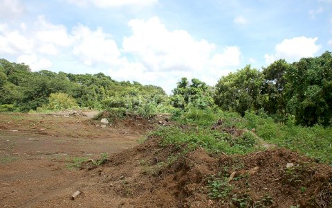 Land for sale in the Andes