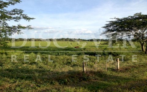  Sale of Finca in Río San Juan, San Carlos.