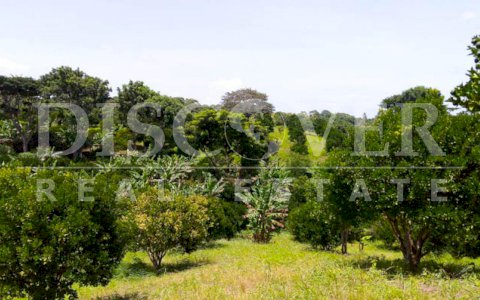  Beautiful farm San Vicente for sale on Niquinohomo