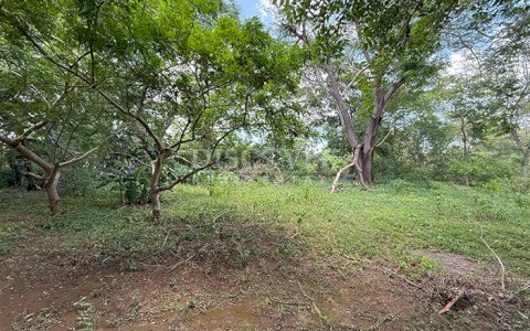  Land for Sale Located in Las Colinas