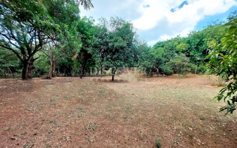  Land for Sale in Pista Suburbana 