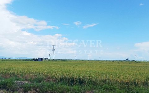 Rice Farm for Sale in Malacatoya 