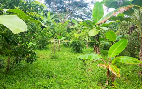  El Aleman Organic Farm for sale