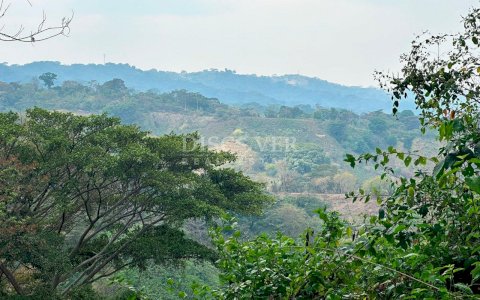  Agricultural property for sale - south road El Crucero