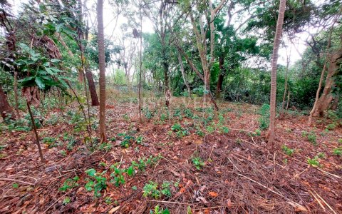  Land for sale located in Santo Domingo. 