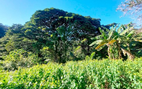  Farm for sale located in a cool area of Carazo 