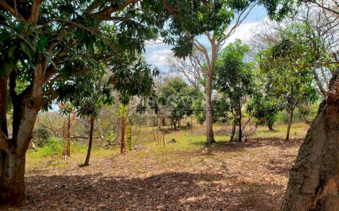  Land for sale in Masaya Highway 