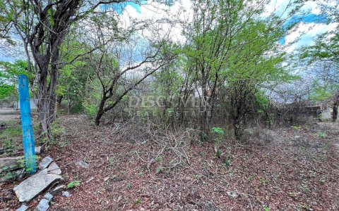 Lots for Sale in Playa Hermosa