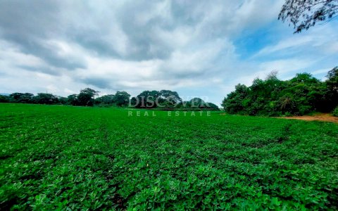  Land for Sale located in Tipitapa-Masaya.