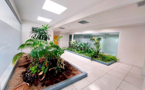  Jean Paul Genie Building for Rent