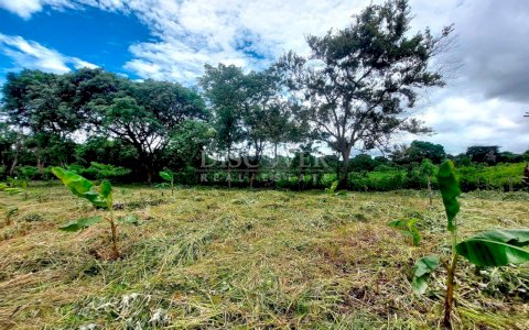  Farm for sale in San Isidro de la Cruz Verde 