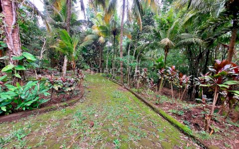  Farm for sale located in Catarina