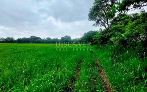  Lot for Sale - New Highway to Granada