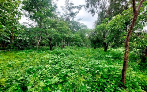  Flat topography land for sale located on the road to Masaya. 