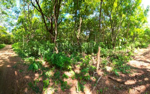  Beach Lot for sale in Tola-Rivas