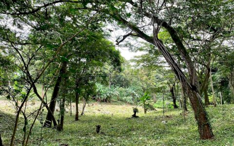  Lots for sale located in a safe and high value area