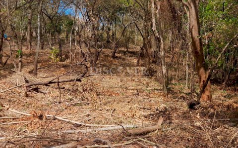  Land for sale - Intermezzo del Bosque 