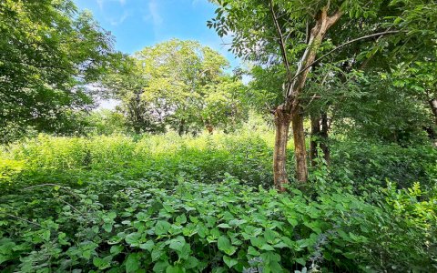  Lot for sale in Nindirí 