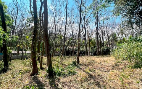  Land for sale in carretera Sur 