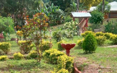  Farm in Carretera a Rivas for sale