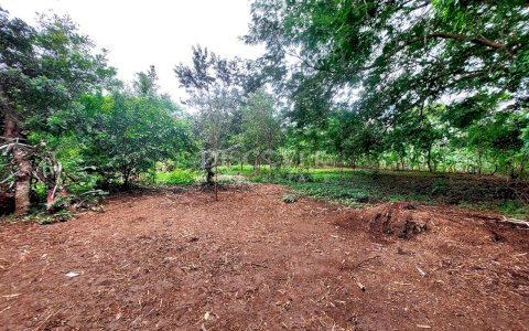  Land for sale in the Pacayita region