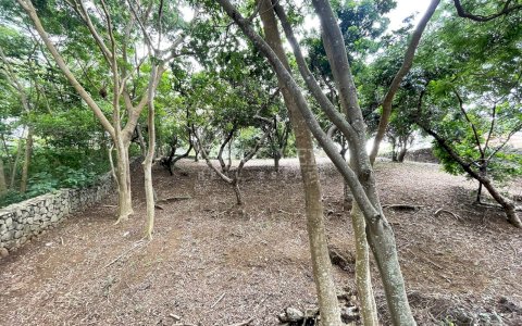  Land for sale located in Villa Fontana Sur residential area.