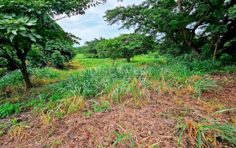  Land for sale/rent in Carretera a Masaya - Highway Front 